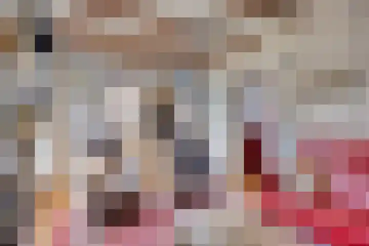 Kromme Elleboog 12 Muntendam thumbnail 10