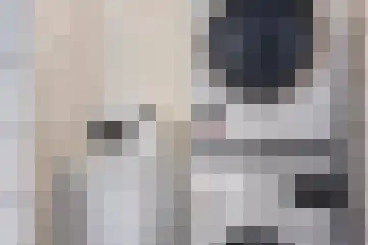 Kromme Elleboog 12 Muntendam thumbnail 20