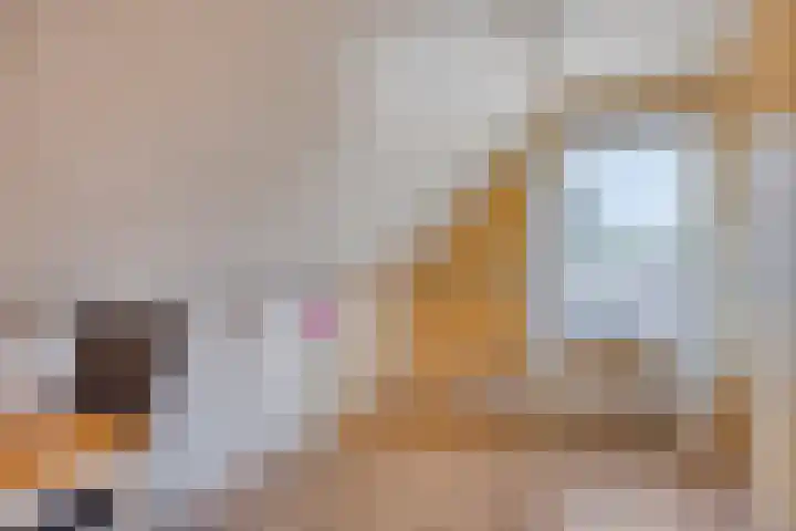 Kromme Elleboog 12 Muntendam thumbnail 32