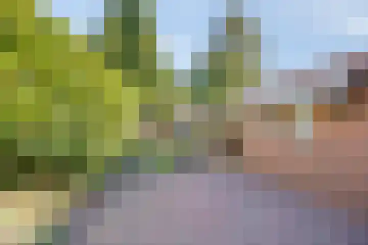 Kromme Elleboog 12 Muntendam thumbnail 37