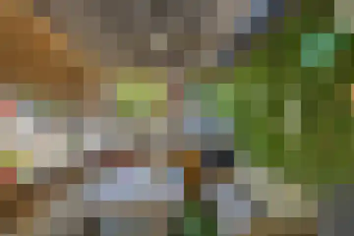 Kromme Elleboog 12 Muntendam thumbnail 40