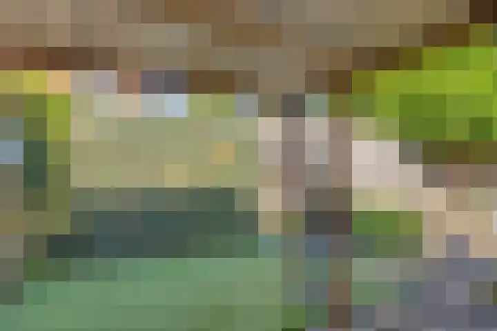 Kromme Elleboog 12 Muntendam thumbnail 41