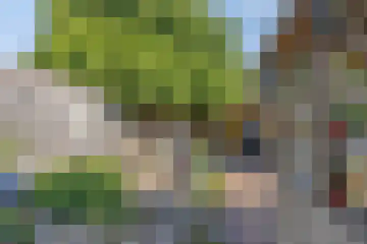 Kromme Elleboog 12 Muntendam thumbnail 42