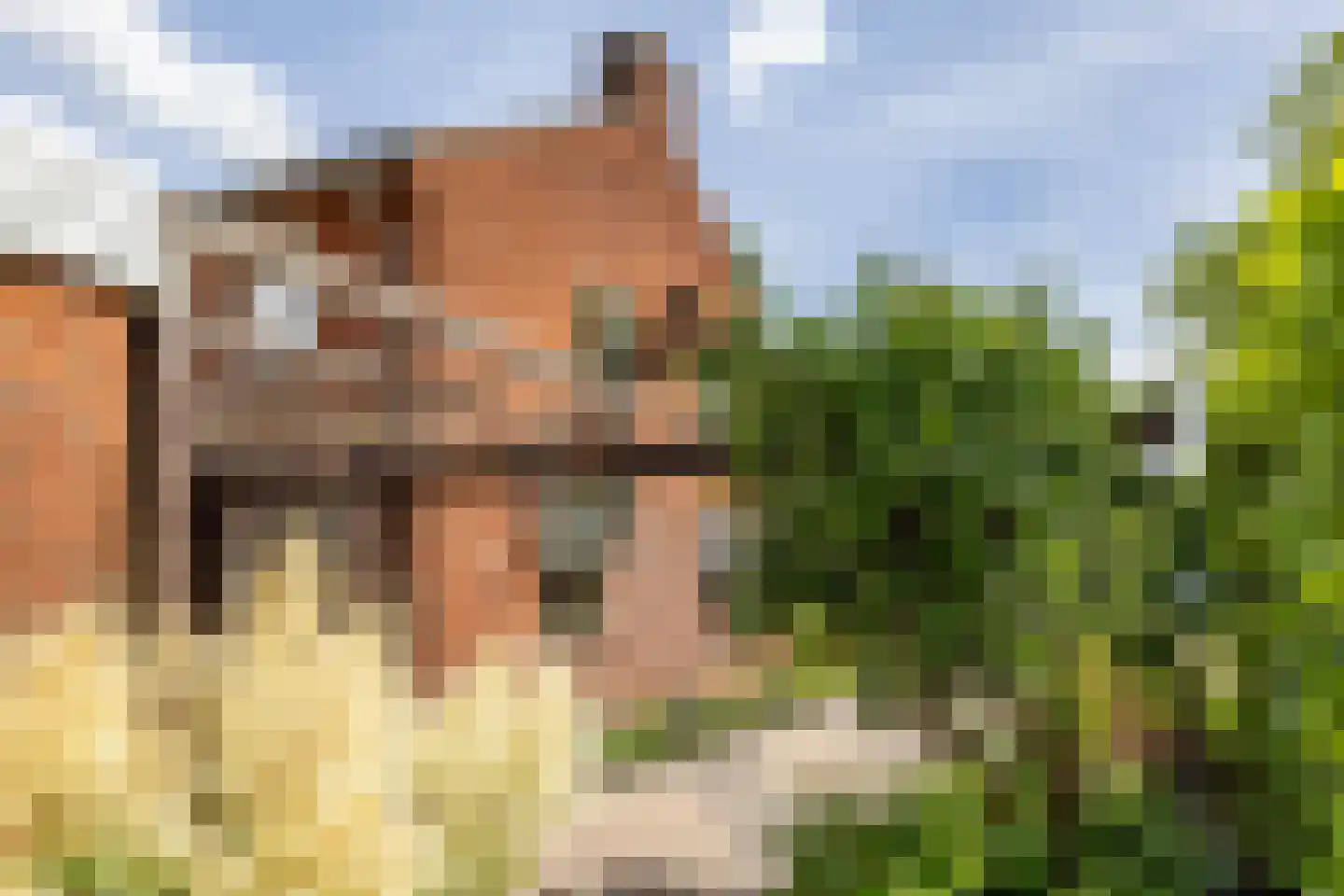 Kromme Elleboog 13 b Haren Gn thumbnail 10