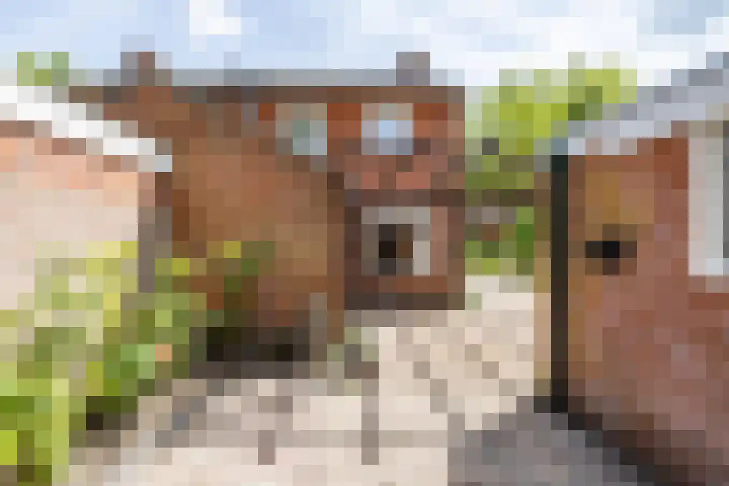 Kromme Elleboog 13 b Haren Gn thumbnail 13