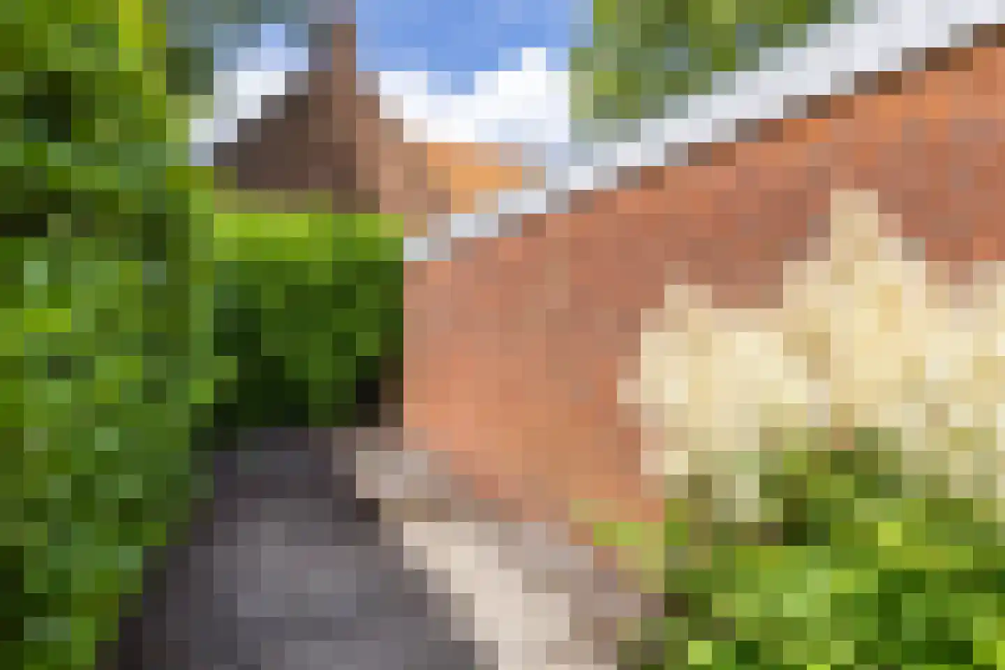 Kromme Elleboog 13 b Haren Gn thumbnail 9
