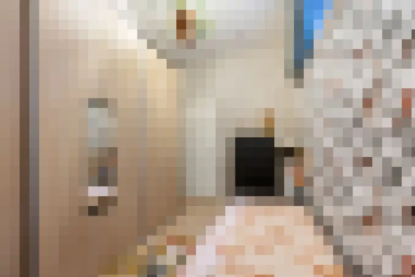 Kromme Elleboog 14 Gennep thumbnail 10