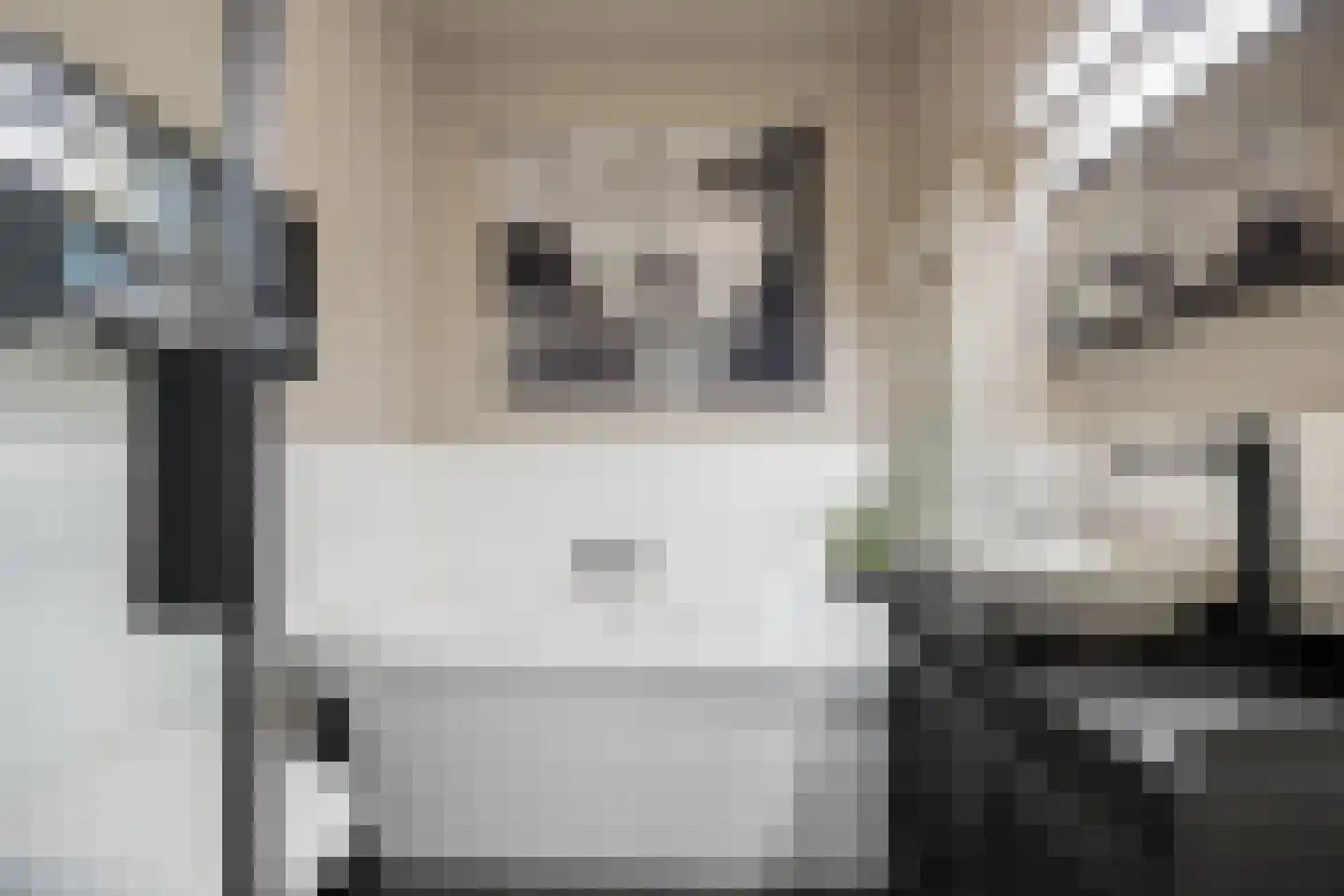 Kromme Elleboog 14 Gennep thumbnail 19