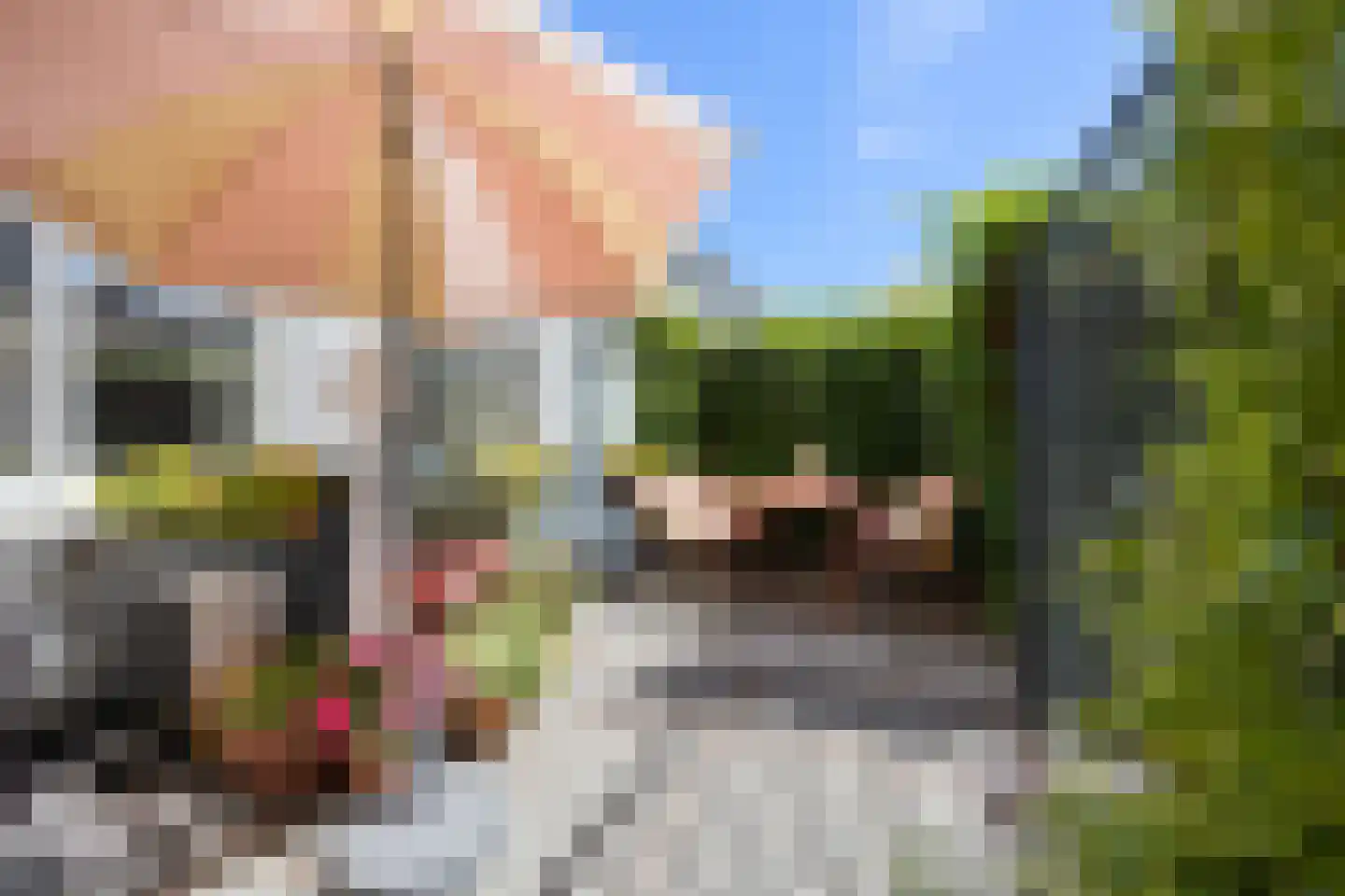 Kromme Elleboog 14 Gennep thumbnail 4