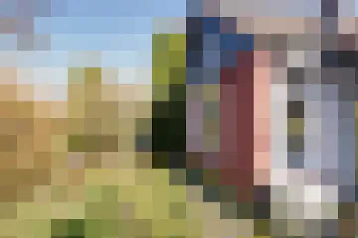 Kromme Elleboog 17 Oostwold thumbnail 21