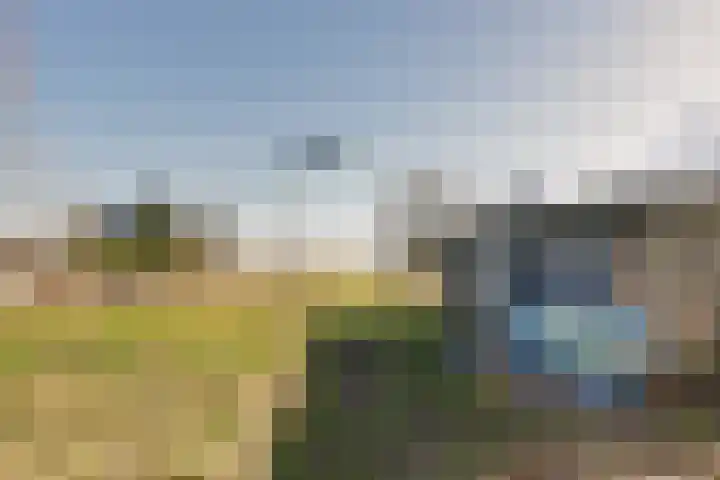 Kromme Elleboog 17 Oostwold thumbnail 22