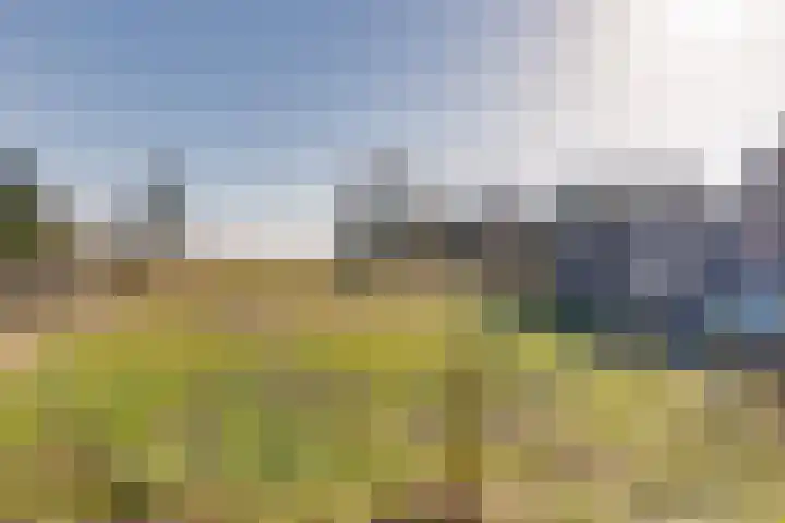 Kromme Elleboog 17 Oostwold thumbnail 23