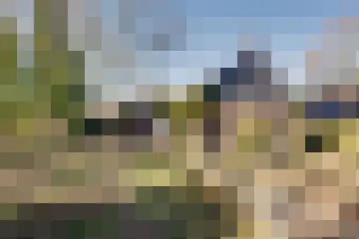 Kromme Elleboog 17 Oostwold thumbnail 25