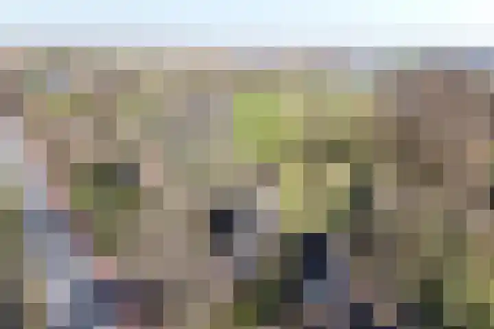 Kromme Elleboog 17 Oostwold thumbnail 30