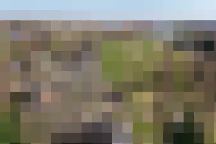 Kromme Elleboog 17 Oostwold thumbnail 31