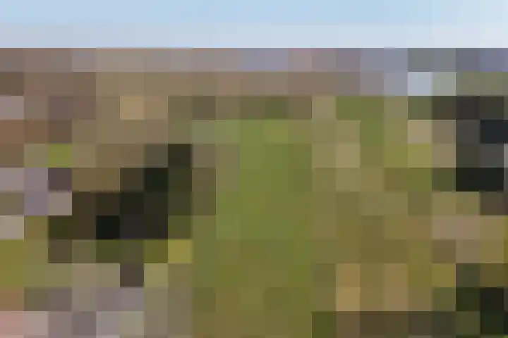 Kromme Elleboog 17 Oostwold thumbnail 32