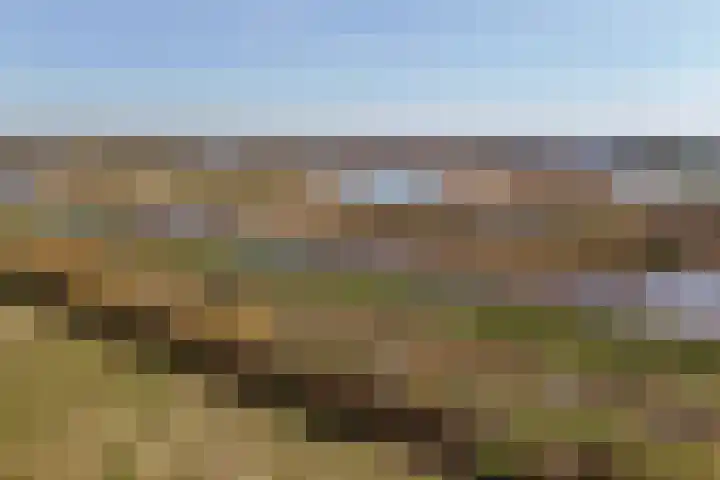 Kromme Elleboog 17 Oostwold thumbnail 33