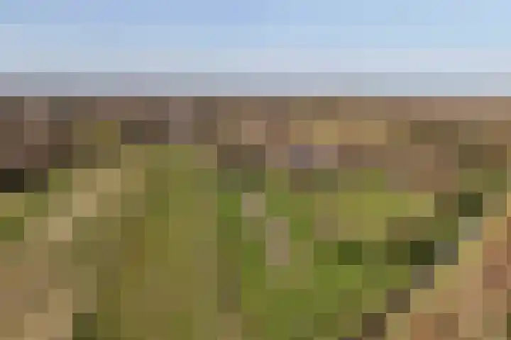 Kromme Elleboog 17 Oostwold thumbnail 34