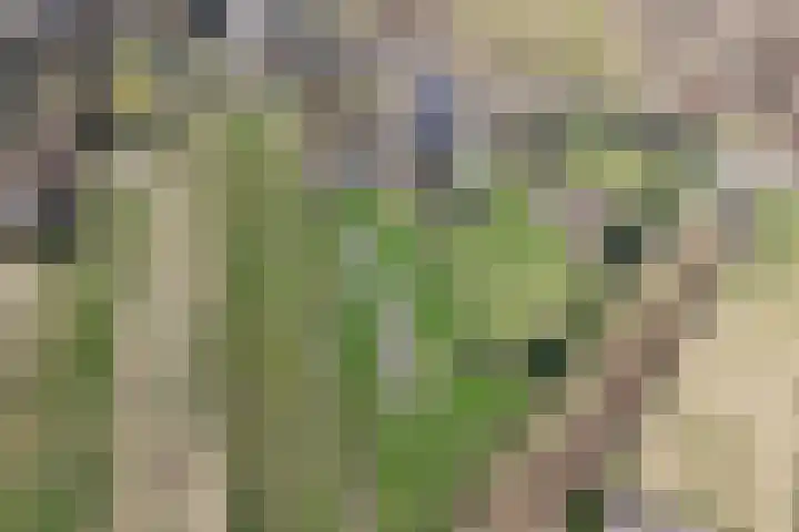 Kromme Elleboog 17 Oostwold thumbnail 35
