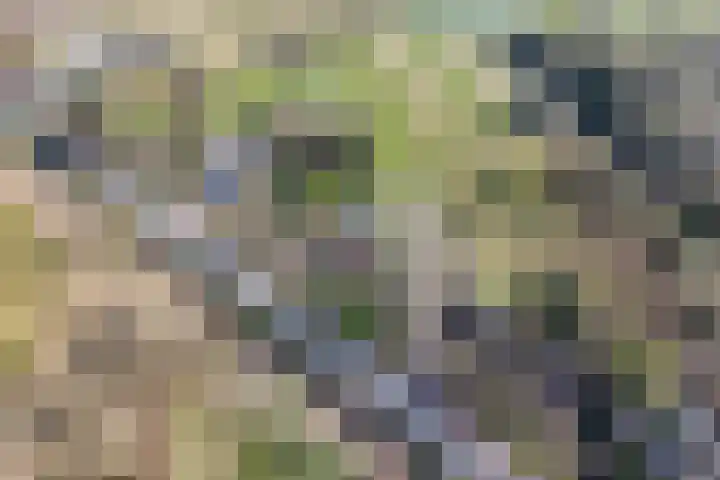 Kromme Elleboog 17 Oostwold thumbnail 36