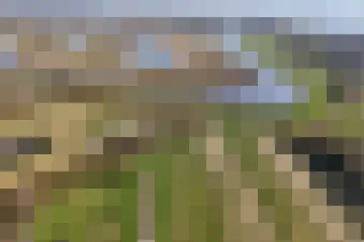Kromme Elleboog 17 Oostwold thumbnail 37