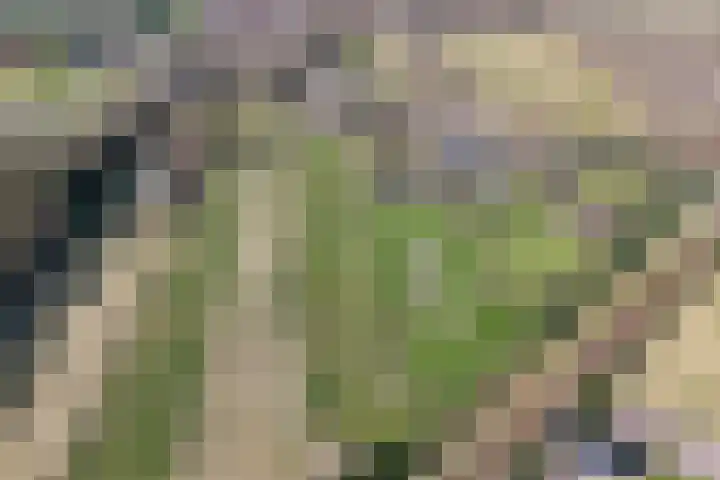 Kromme Elleboog 17 Oostwold thumbnail 38