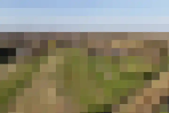 Kromme Elleboog 17 Oostwold thumbnail 39