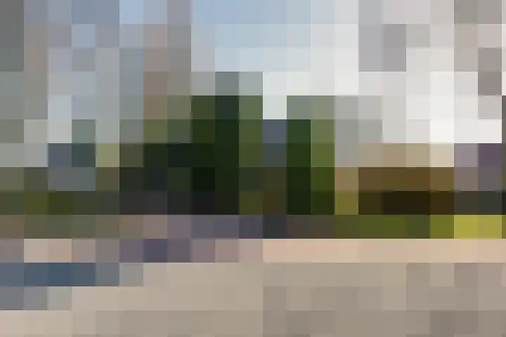 Kromme Elleboog 17 Oostwold thumbnail 4