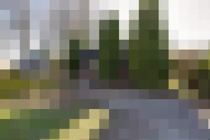 Kromme Elleboog 17 Oostwold thumbnail 5
