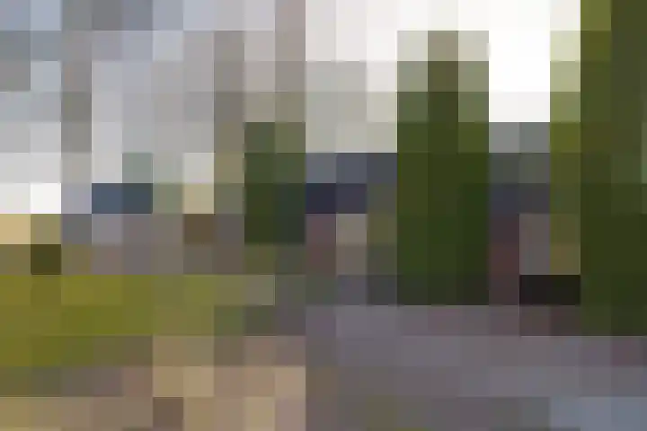 Kromme Elleboog 17 Oostwold thumbnail 6