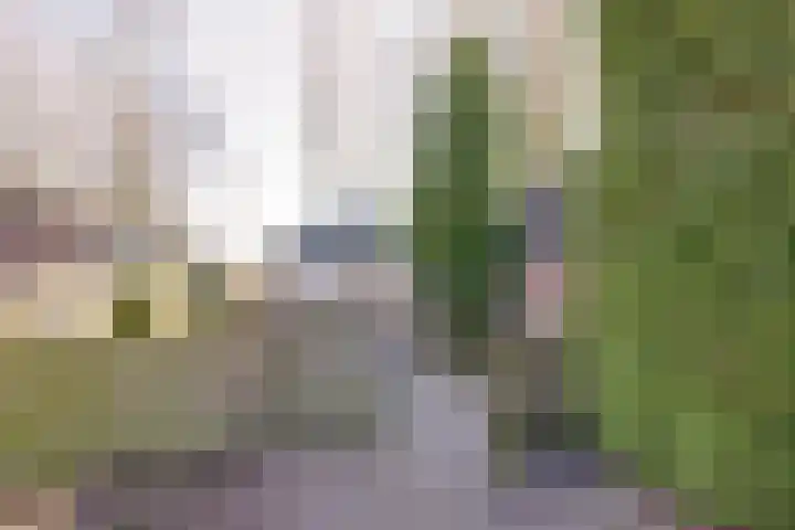 Kromme Elleboog 17 Oostwold thumbnail 7