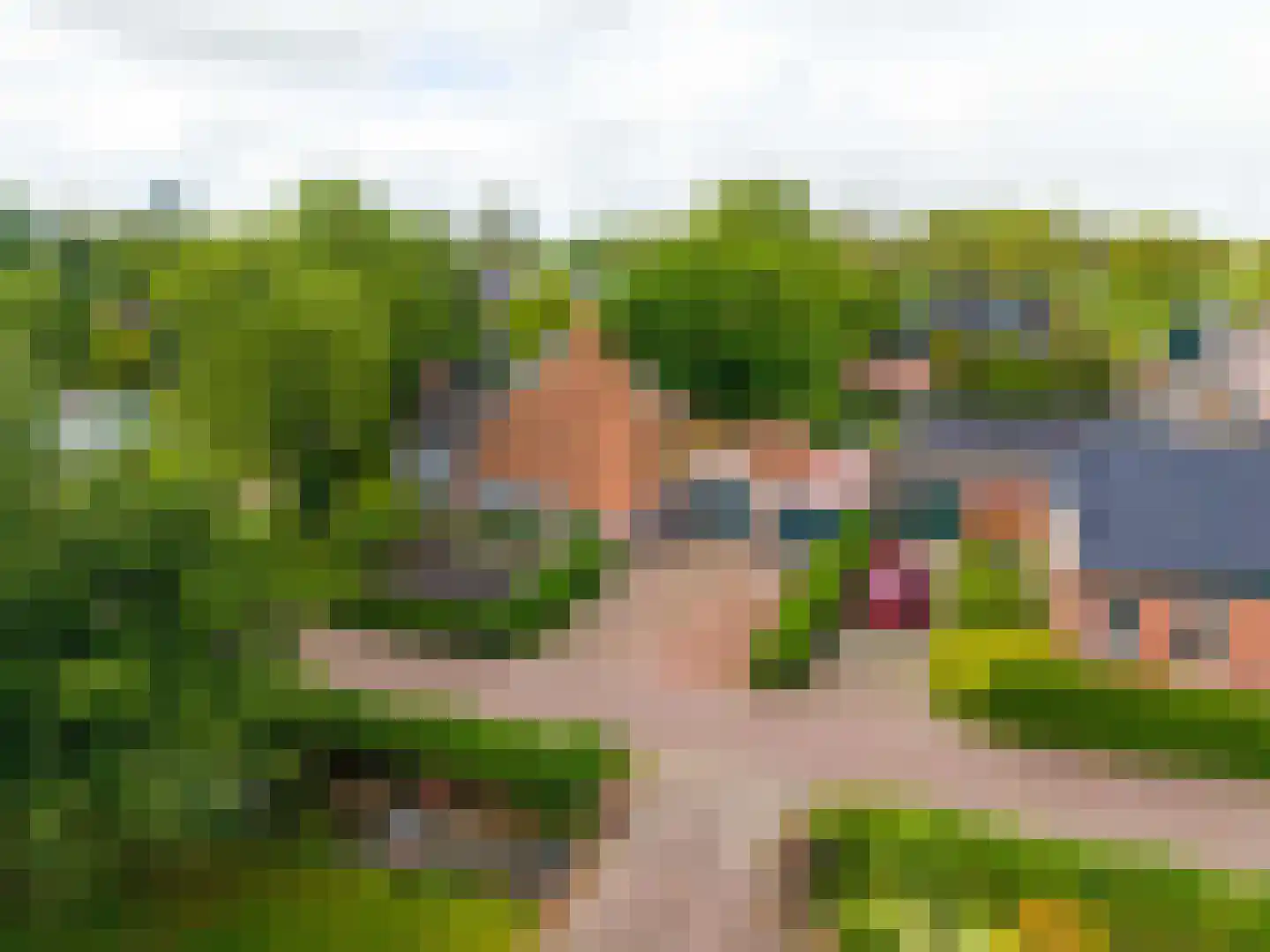 Kromme Elleboog 2 in Sauwerd