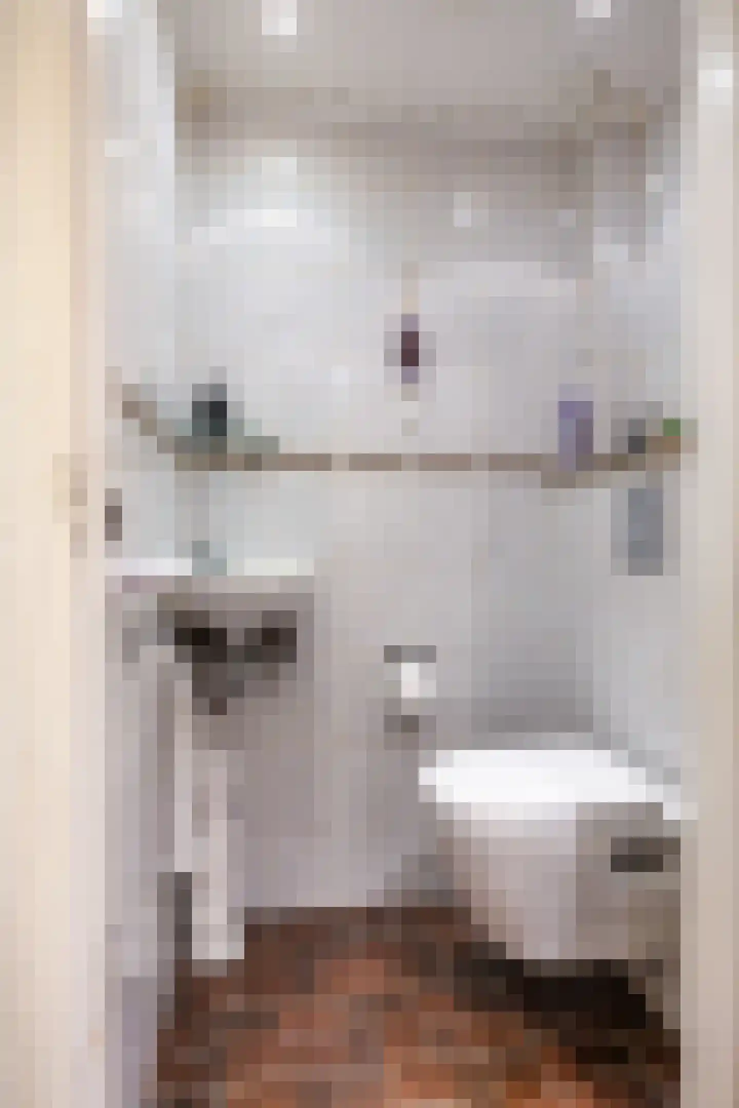 Kromme Elleboog 2 Sauwerd thumbnail 24