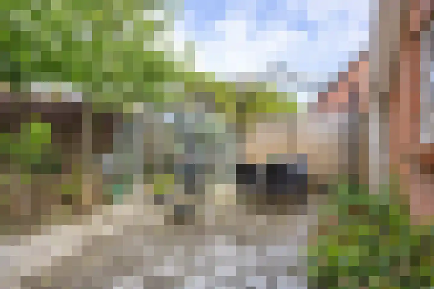 Kromme Elleboog 2 Sauwerd thumbnail 29