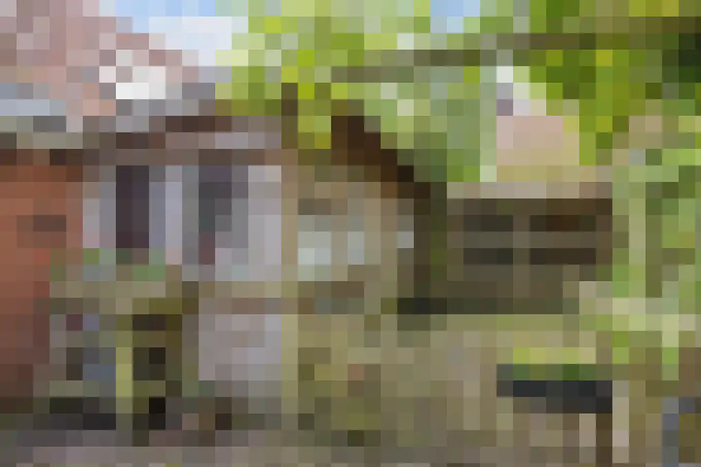 Kromme Elleboog 2 Sauwerd thumbnail 31
