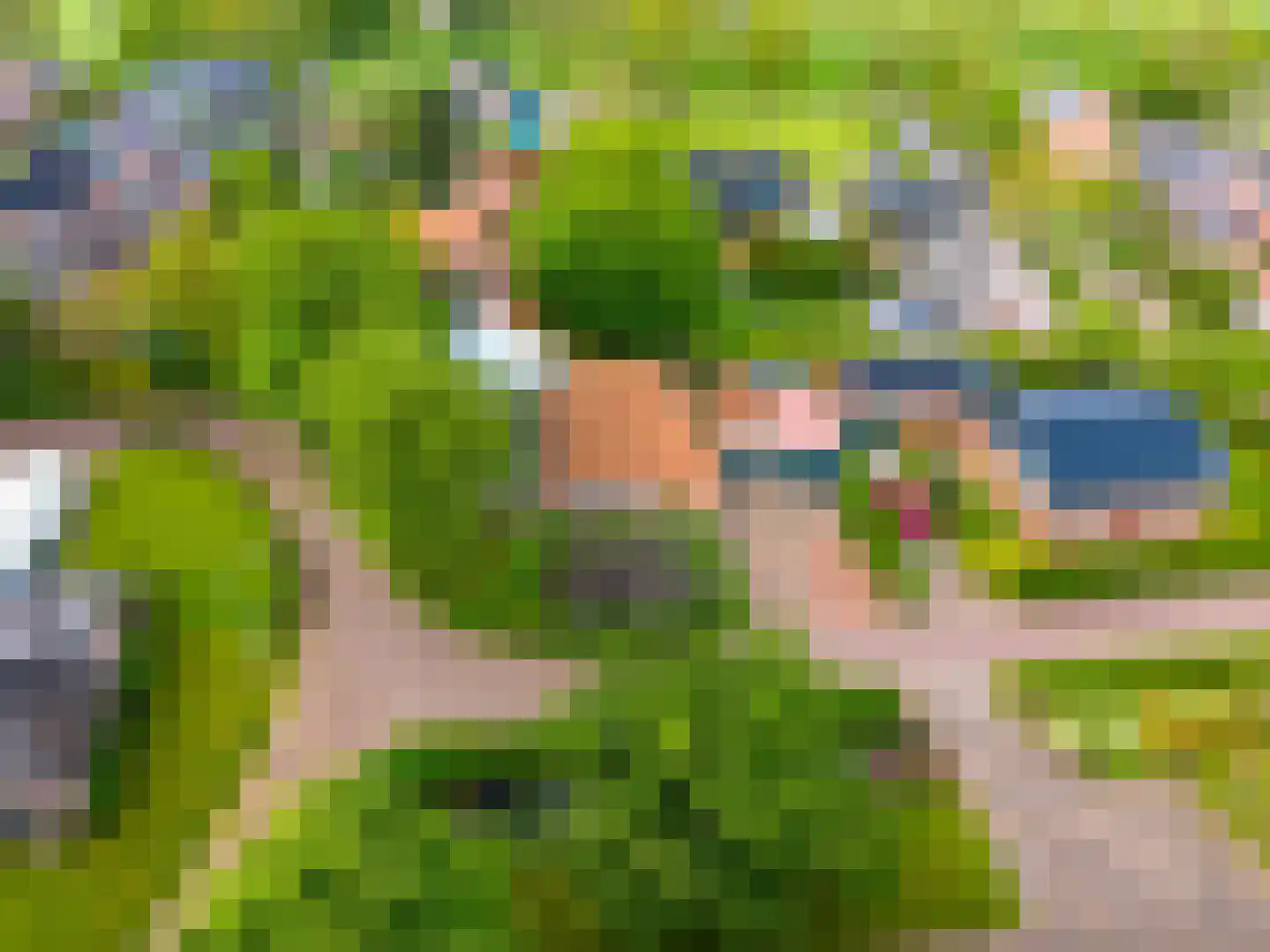 Kromme Elleboog 2 Sauwerd thumbnail 4