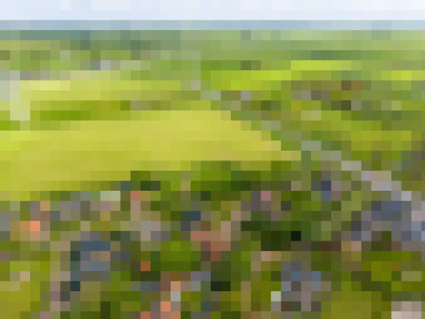 Kromme Elleboog 2 Sauwerd thumbnail 5