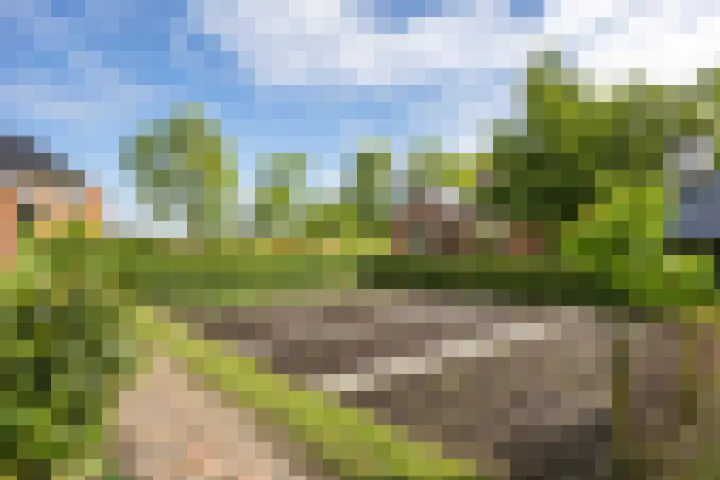 Kromme Elleboog 2 Sauwerd thumbnail 7