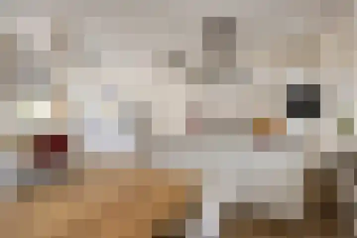 Kromme Elleboog 22 Meppel thumbnail 14