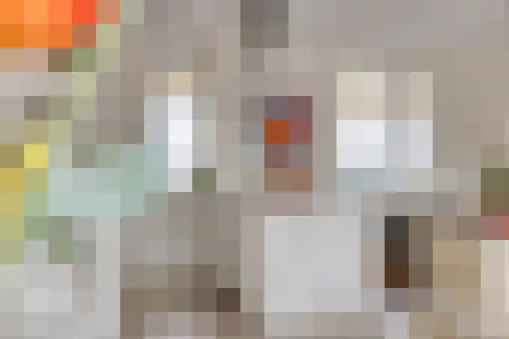 Kromme Elleboog 22 Meppel thumbnail 16