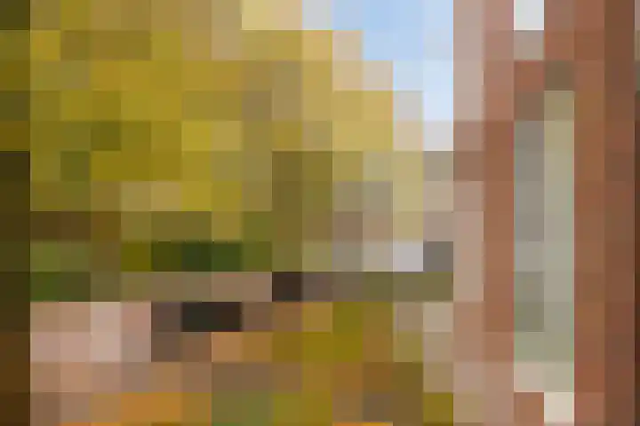 Kromme Elleboog 22 Meppel thumbnail 21