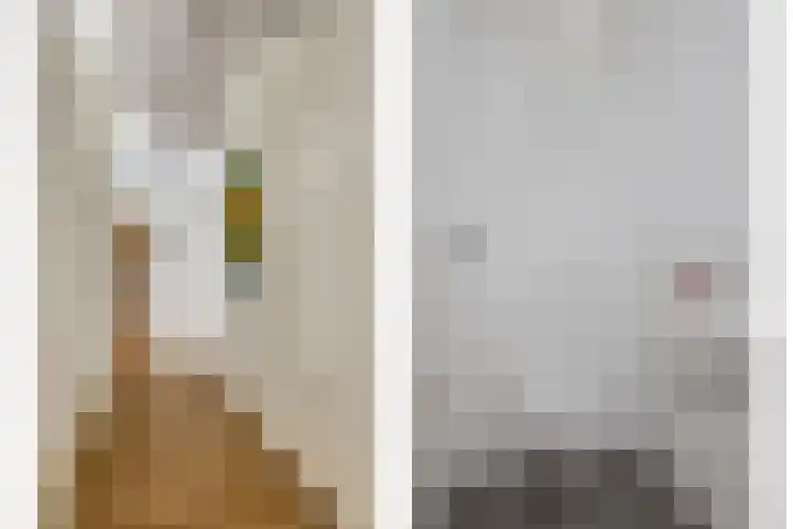 Kromme Elleboog 22 Meppel thumbnail 8