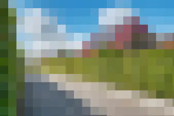 Kromme Elleboog 25 Haren Gn thumbnail 10
