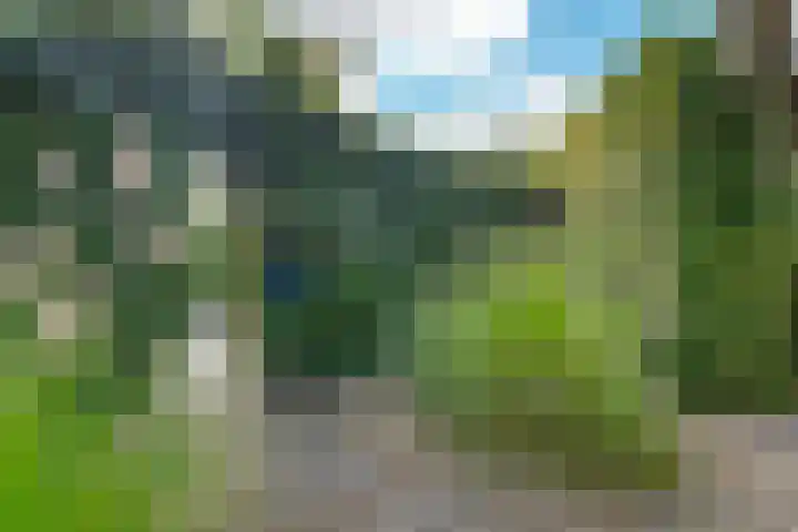 Kromme Elleboog 25 Haren Gn thumbnail 12