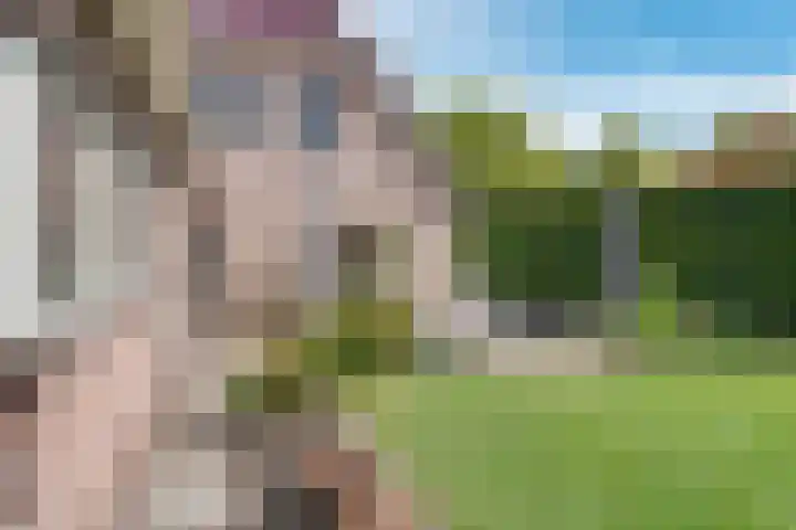 Kromme Elleboog 25 Haren Gn thumbnail 32