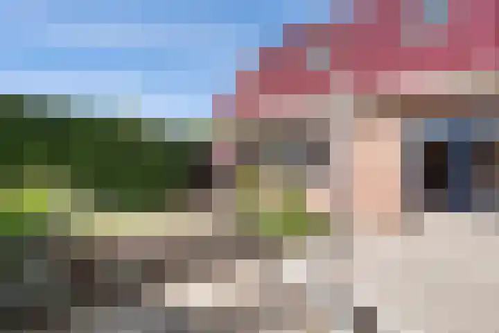Kromme Elleboog 25 Haren Gn thumbnail 35
