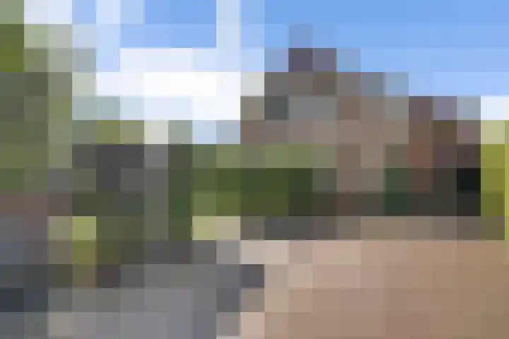 Kromme Elleboog 25 Haren Gn thumbnail 6