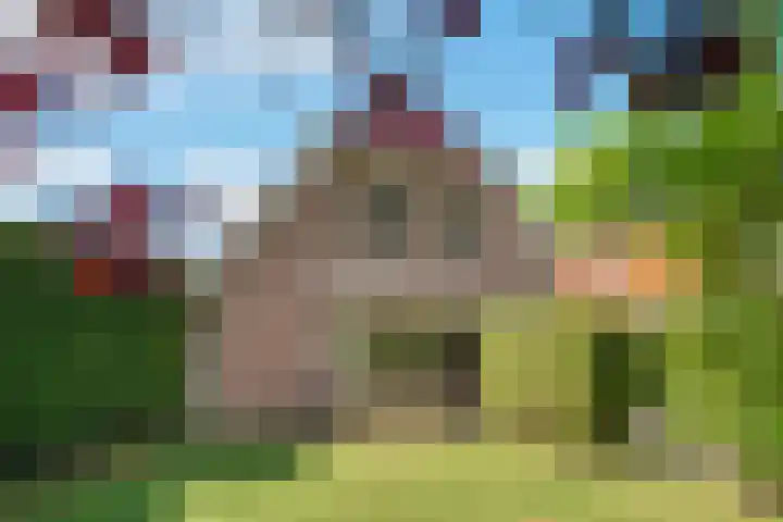 Kromme Elleboog 25 Haren Gn thumbnail 7