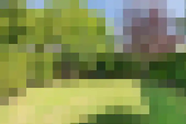Kromme Elleboog 25 Haren Gn thumbnail 8