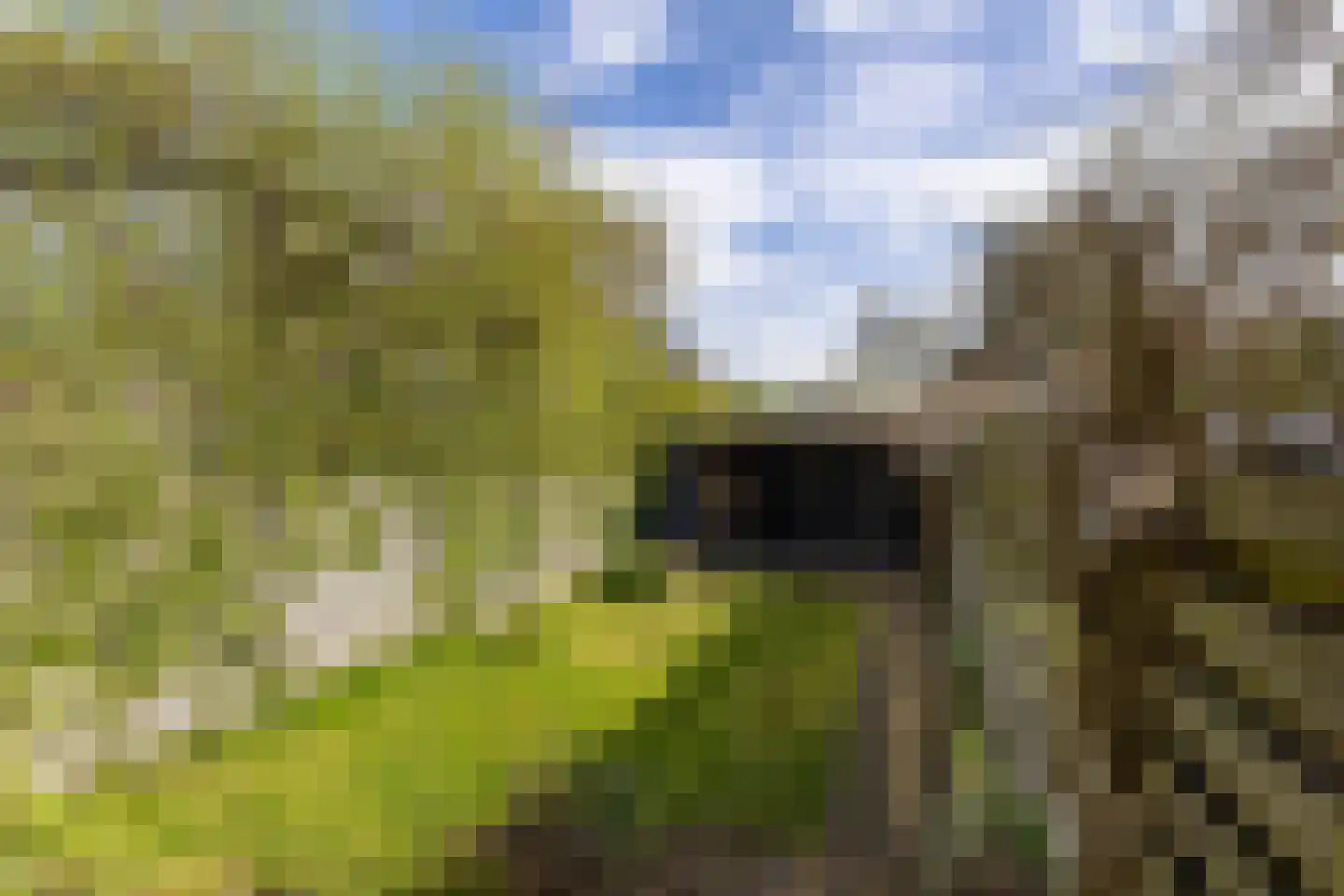Kromme Elleboog 28 Haren Gn thumbnail 37